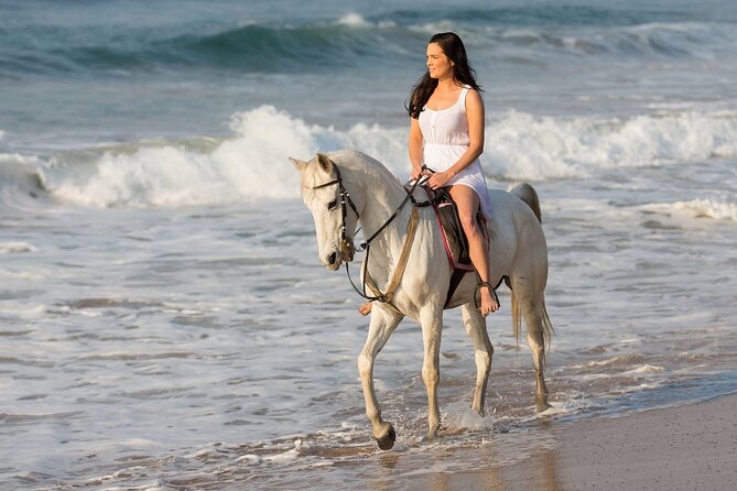 Cabo Shore Excursion: Beach Horseback Ride & Tequila Tasting - Price and logistics: the $70 ticket plus the Migriño Park fee