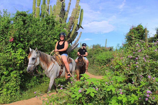 Cabo Shore Excursion: Beach Horseback Ride & Tequila Tasting - Getting to the start: where you meet and how pickup tends to work