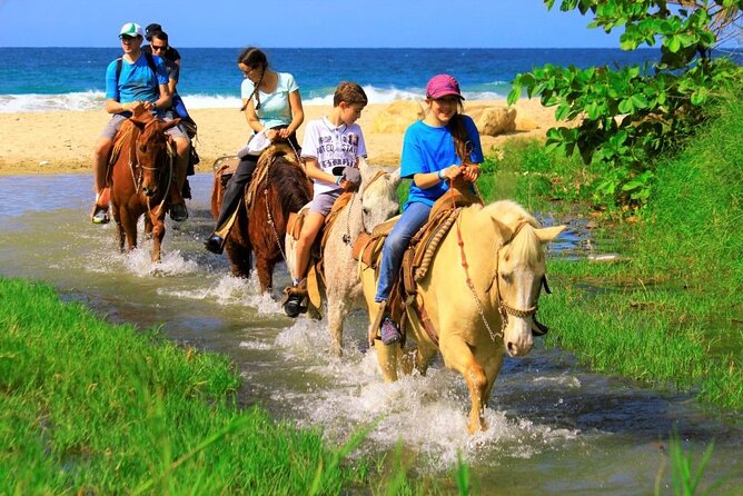 Cabo Shore Excursion: Beach Horseback Ride & Tequila Tasting - Photos and upgrades: how to enjoy the day without getting steamrolled
