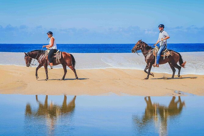 Cabo Shore Excursion: Beach Horseback Ride & Tequila Tasting - How the ride actually flows: desert out, beach back