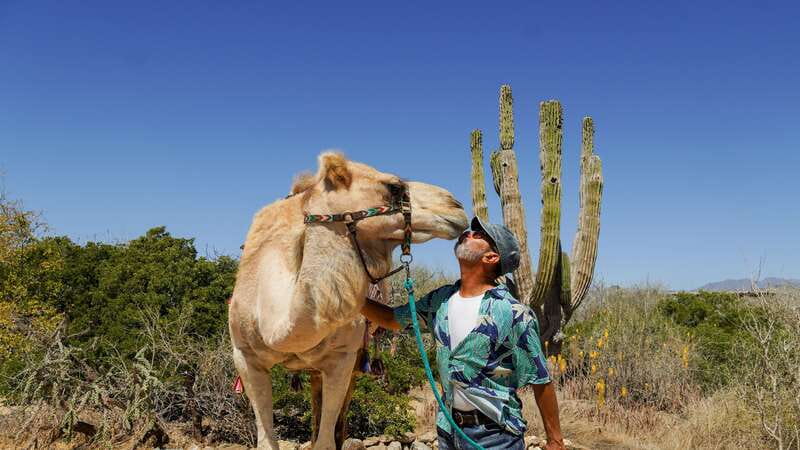 Cabo: Todo Santos Tour with Camel Ranch, Tequila and Lunch - Price and Value: Is $119 for 6 Hours a Good Deal?