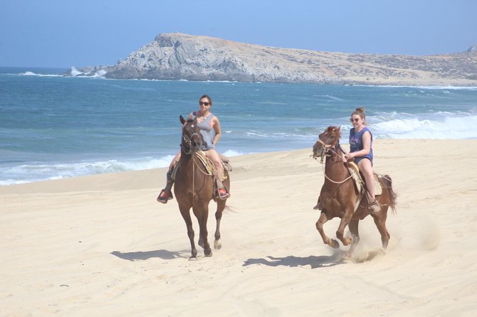 Cabo White Sand Horseback Riding Tour and Tequila Tasting - Key things I’d plan for