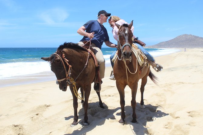 Cabo White Sand Horseback Riding Tour and Tequila Tasting - Cabo’s desert-to-beach ride in one shot