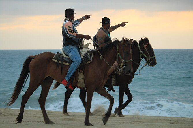 Cabo White Sand Horseback Riding Tour and Tequila Tasting - Marine life time: when shore spotting actually happens