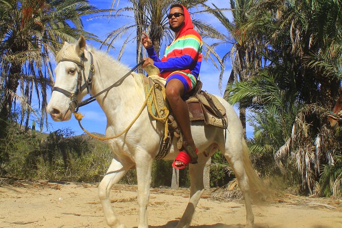 Cabo White Sand Horseback Riding Tour and Tequila Tasting - Horse + guide: the names that matter on this tour