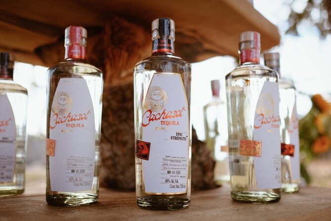 Cachasol Raicilla and Tequila Tour - The cata tasting: how the flavor lesson lands