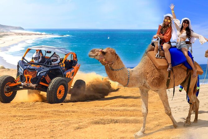 Camel Ride and UTV Combo Adventure, with Tequila Tasting - Key things to know before you book