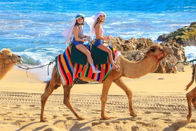 Camel Ride and UTV Combo Adventure, with Tequila Tasting - Baja Desert UTV/ATV: Adrenaline Time and Vehicle Variations
