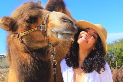 Camel Ride and UTV Combo Adventure, with Tequila Tasting - Camel Ride on Migriño Beach: Dunes, Pacific Views, and Camel Personalities