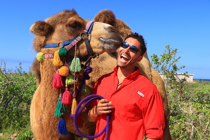 Camel Ride and UTV Combo Adventure, with Tequila Tasting - Sand Dunes and Ocean Cliffs: Where Speed Meets Big Coastal Views