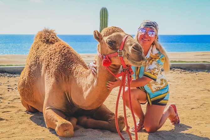 Camel Ride and UTV Combo Adventure, with Tequila Tasting - Tequila Tasting at the Ranch: A Short Education on Mexico’s Spirit