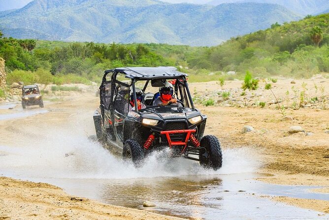 Camel Ride and UTV Combo Adventure, with Tequila Tasting - Guides and Vibes: The Human Touch (Alvero, Juan, Manny, Zintera, and More)