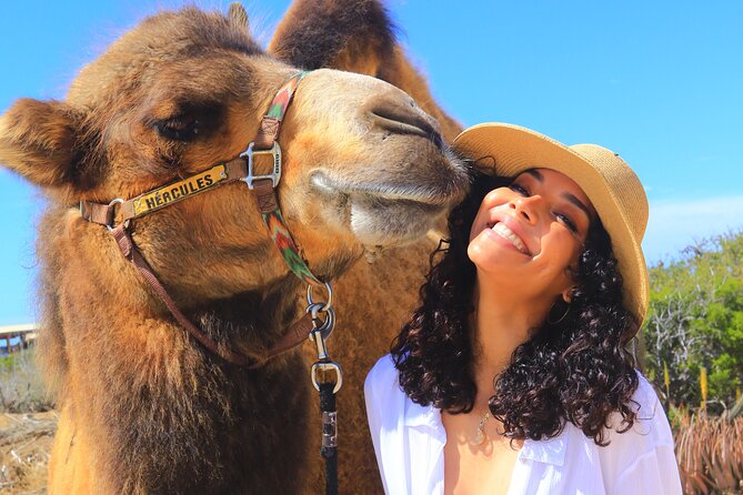 Camel Ride and UTV Combo Adventure, with Tequila Tasting - Camel Ride on Migriño Beach: Dunes, Pacific Views, and Camel Personalities