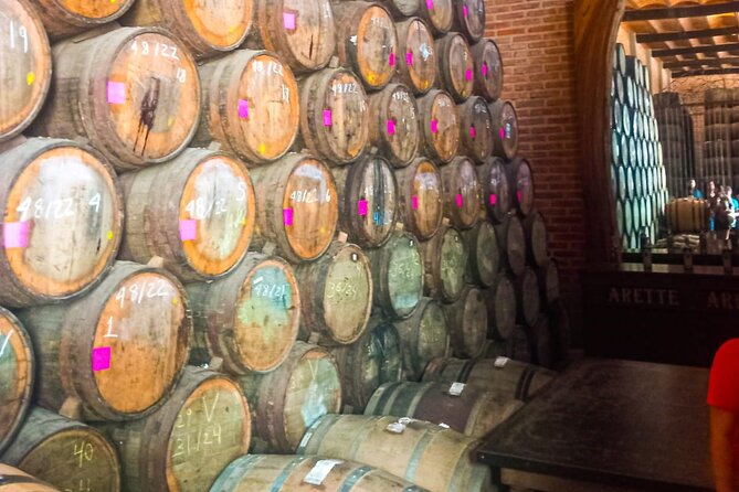 Cantaritos and Tequila Factory Tour - The scenic stops and photo moments you’ll thank yourself for