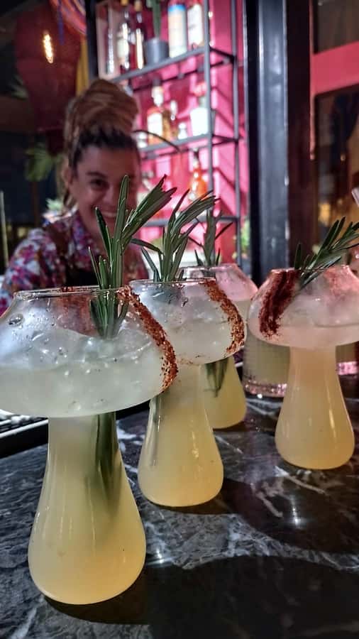 Cartagena Tasting Mezcal & Tequila - What you learn first: origins, names, and natural roots