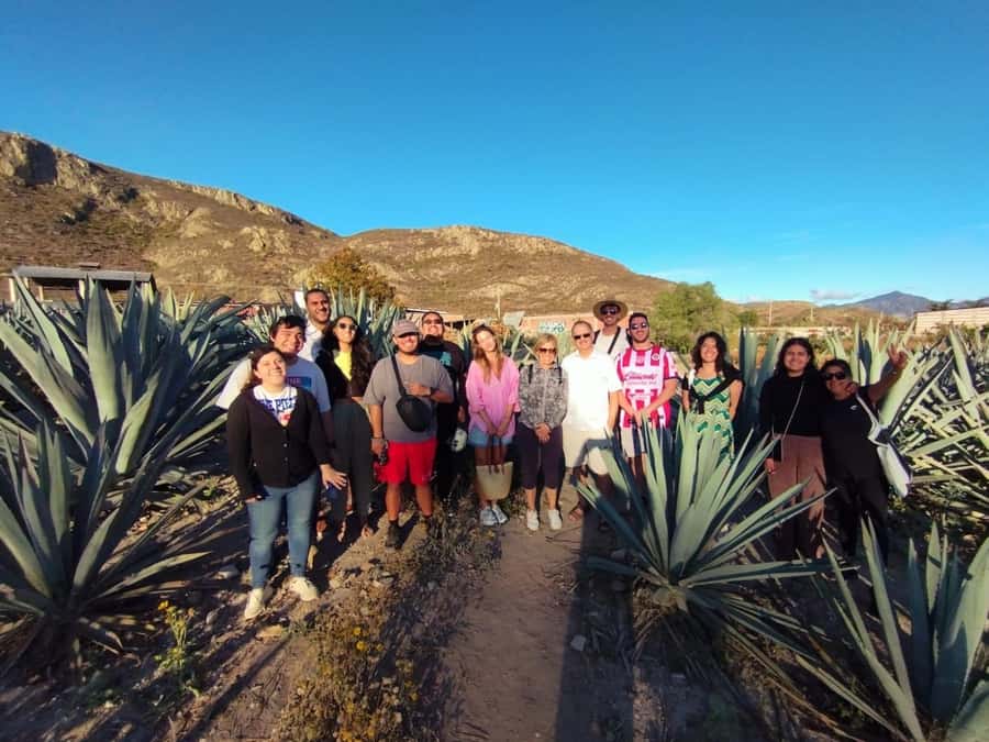 Check out Hierve el Agua, Mitla, the Tule Tree, Rugs, and a Mezcal Distillery Tour - Cost and Value Breakdown for a $49 Tour