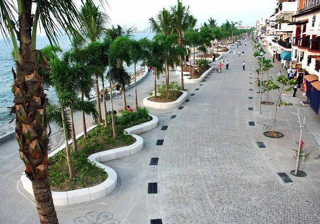 City and Tequila Tour in Puerto Vallarta - Key Things I’d Focus On Before You Book
