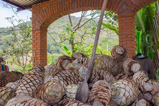 City and Tequila Tour in Puerto Vallarta - The Big Picture: What You’re Really Doing in Six Hours