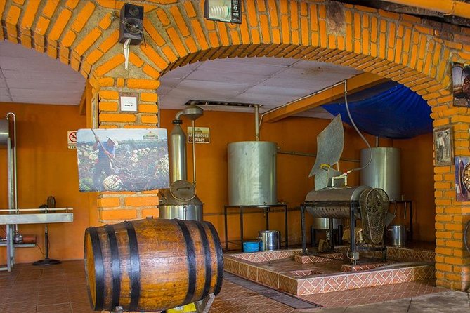 City and Tequila Tour in Puerto Vallarta - Stop 3: Rancho Verano Tequila Factory Tour and Tasting