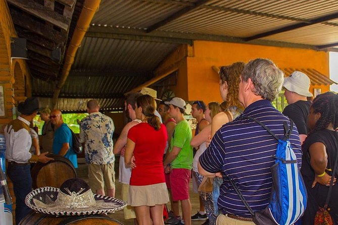 City and Tequila Tour in Puerto Vallarta - Who This Tour Fits Best (And Who Should Skip It)