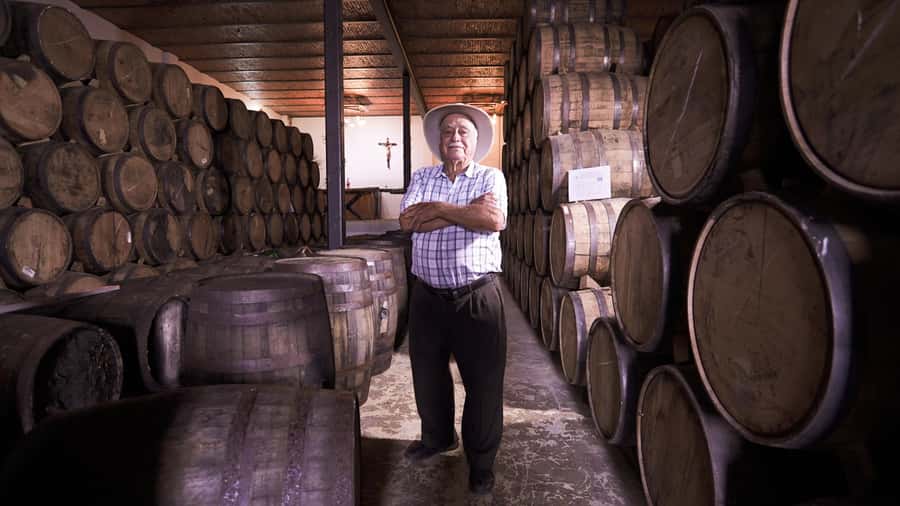 Classic Tequila Route Tour from Guadalajara and cantaritos el GÜERO!!! - Meeting at Glorieta Minerva: start where Guadalajara feels big