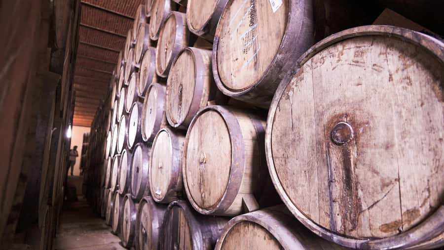 Classic Tequila Route Tour from Guadalajara and cantaritos el GÜERO!!! - Price and logistics: does $41 really add up?