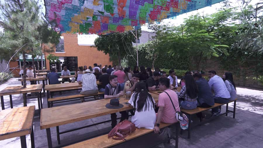 Classic Tequila Route Tour from Guadalajara and cantaritos el GÜERO!!! - Tips so your day stays fun (and not messy)