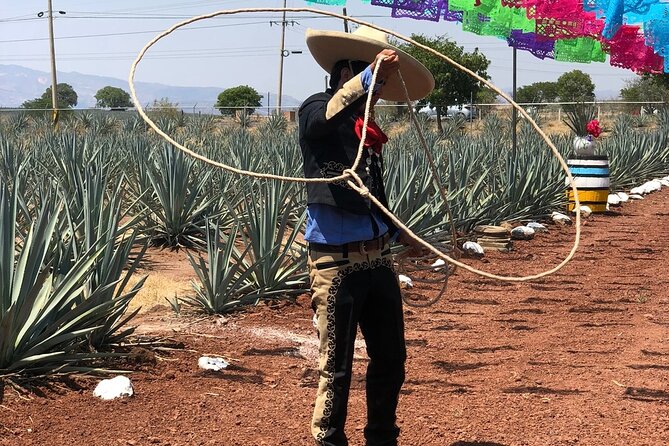 Classic Tequila Tour and CANTARITOS EL GÜERO - A full day of tequila that doesn’t drag