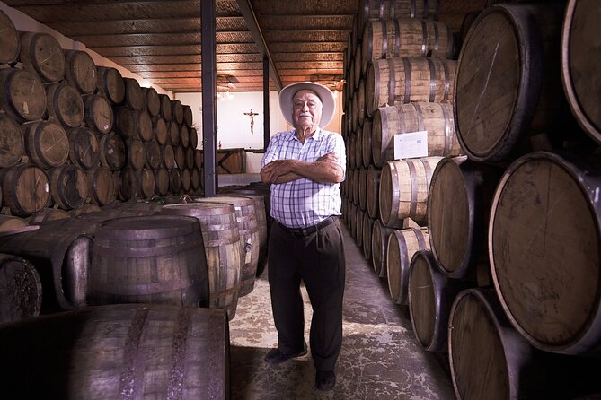 Classic Tequila Tour and CANTARITOS EL GÜERO - Tequila town: colonial streets and market browsing time