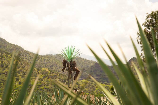 Classic Tequila Tour and CANTARITOS EL GÜERO - Leaving Guadalajara for the agave fields near El Arenal