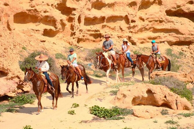 Combined ATV and Horseback Ride/Tequila Tasting - Horse, ATV, and Tequila in Cabo: what this mix really gives you