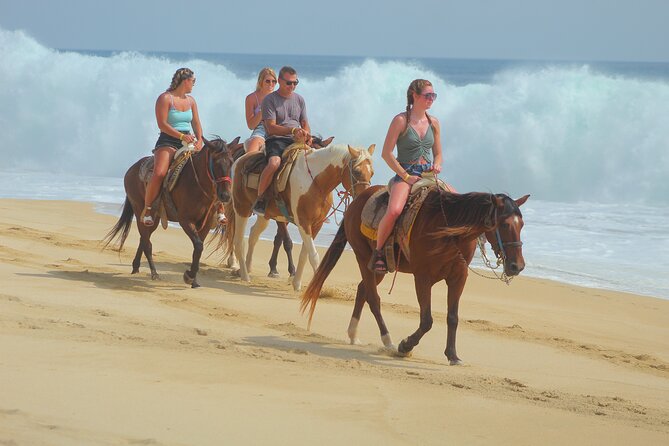 Combined ATV and Horseback Ride/Tequila Tasting - Stop 2 Migriño: guided routes through desert and beach country