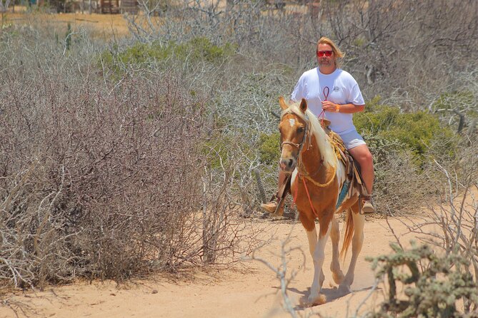 Combined ATV and Horseback Ride/Tequila Tasting - Stop 1 San Jose del Cabo: the transition before you hit the trails