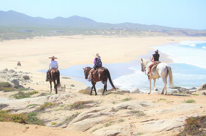 Combo Adventure with RZR and ATV or HBR and Tequila Tasting - ATV or Horses for your second hour: how to choose what fits you