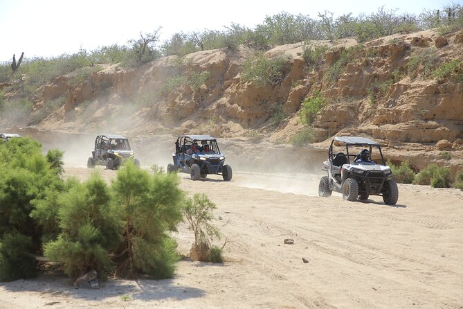 Combo Off Road 4x4 UTV Camel Ride Lunch and Tequila Tasting - Key Highlights You’ll Actually Feel