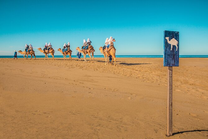 Combo Off Road 4x4 UTV Camel Ride Lunch and Tequila Tasting - Who Should Book This Combo (And Who Might Skip It)