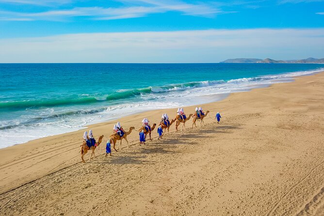 Combo Off Road 4x4 UTV Camel Ride Lunch and Tequila Tasting - Should You Book This UTV + Camel + Tequila Day?