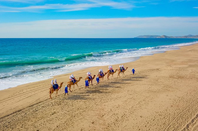 Combo Single Offroad 4x4 UTV, Camel Ride, Lunch & Tequila Tasting - Camel Ride at the Ranch: Quiet Beach Time With Real Animal Care