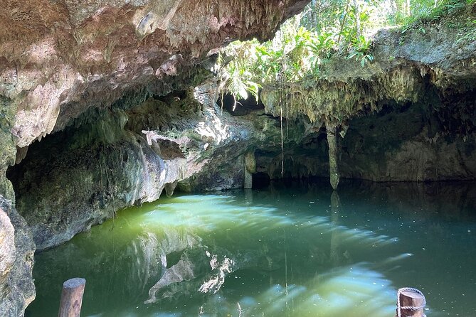 Cozumel ATVs, El Cedral Ruins, Cenote Jade, and Tequila - Cenote Jade: Swim Time, Water Checks, and Easy Photos