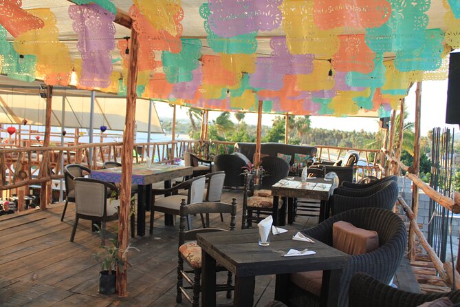 Culinary Experience +Tequila & drinks tasting by Alma de mexico - The One Thing to Plan For: Flies Around Outdoor Food
