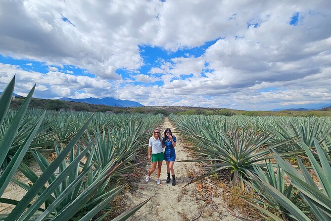 Danzantes Premium Mezcal, Hierve el Agua, Textiles & Lunch - Key highlights worth your time
