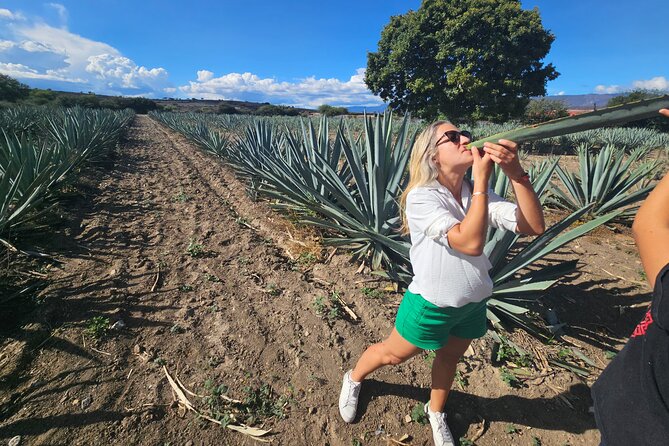 Danzantes Premium Mezcal, Hierve el Agua, Textiles & Lunch - Who this tour suits best (and who should think twice)