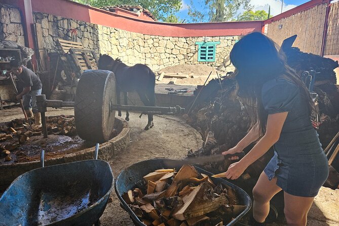 Danzantes Premium Mezcal, Hierve el Agua, Textiles & Lunch - The guide and driver touch: why the experience feels smooth