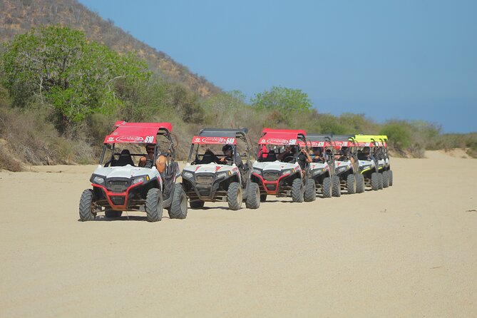 Desert and Beach UTV Adventure with Tequila Tasting - Key highlights you’ll feel right away