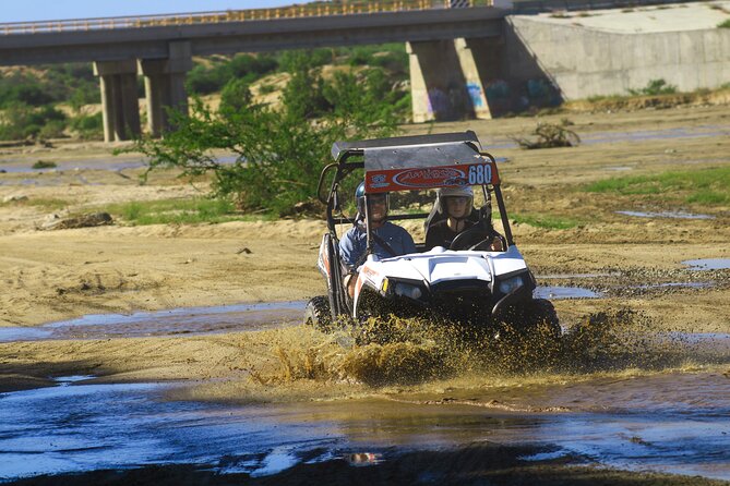 Desert and Beach UTV Adventure with Tequila Tasting - Baja Desert Meets Playa Migriño: the 2-hour feel