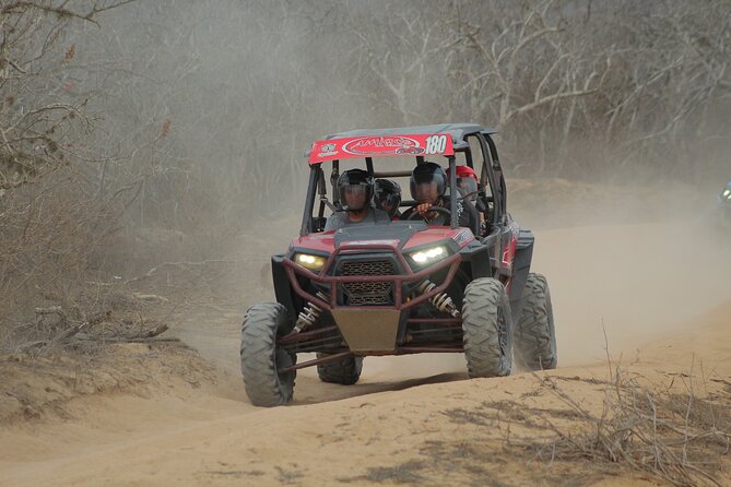 Desert and Beach UTV Adventure with Tequila Tasting - Stop at Playa Migriño: the coast shift that makes the whole tour work