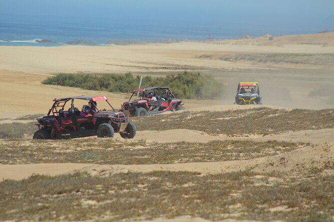 Desert and Beach UTV Adventure with Tequila Tasting - Tequila tasting included: how to fit it into a fun day