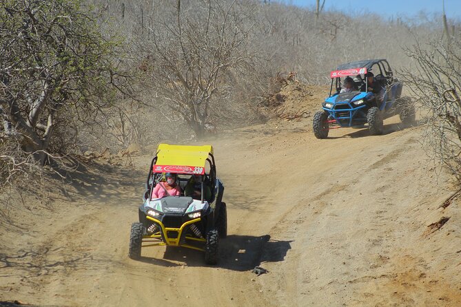 Desert and Beach UTV Adventure with Tequila Tasting - What’s included (and what isn’t): the short list that prevents surprises