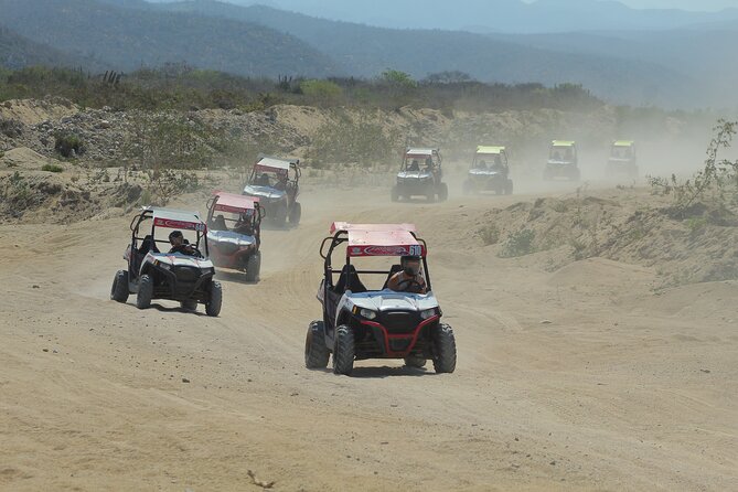 Desert and Beach UTV Adventure with Tequila Tasting - How hard is it? participation and who should go