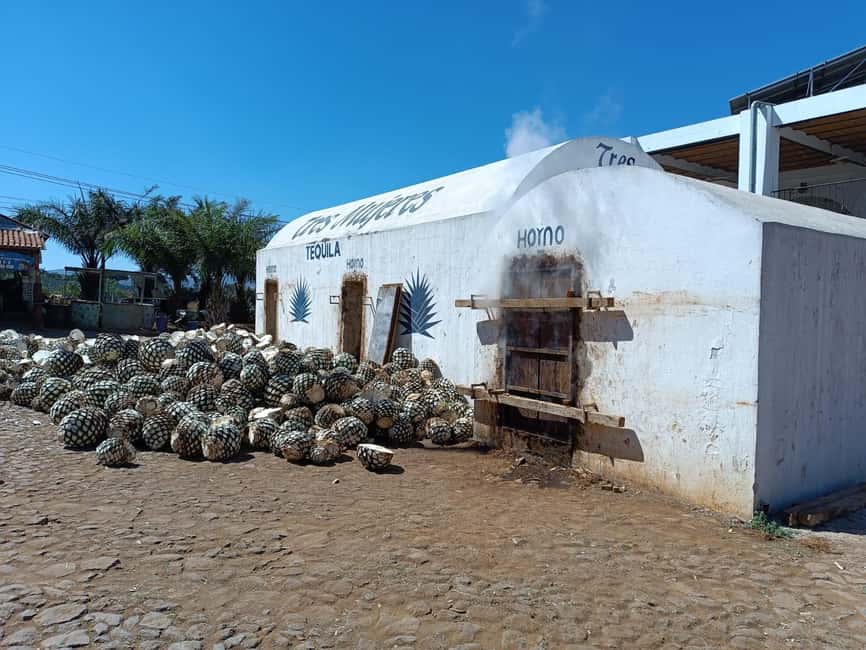Destino Tequila: Experiencia Premier Privada - Key things that make this tour work